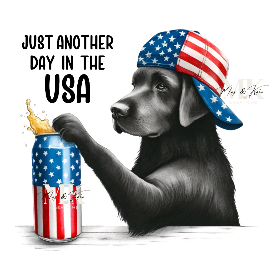 Just Another Day in the USA DTF TRANSFER