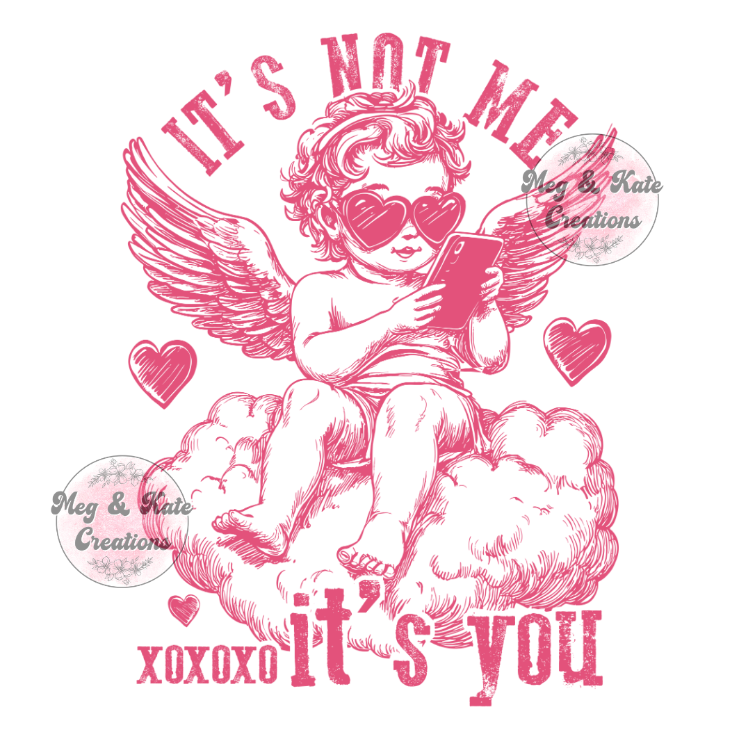 It's Not Me It's You DTF TRANSFER