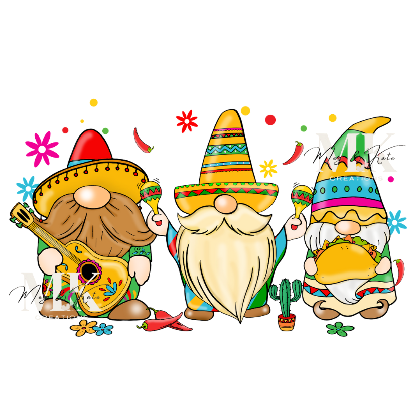Cinco De Mayo Gnomes DTF TRANSFER