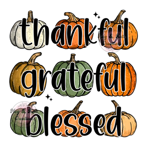 Thankful Grafeful Blessed Pumpkins DTF TRANSFER