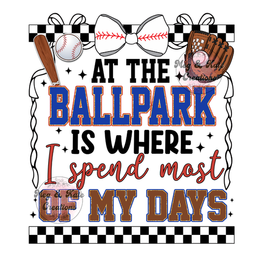 At the Ballpark DTF TRANSFER