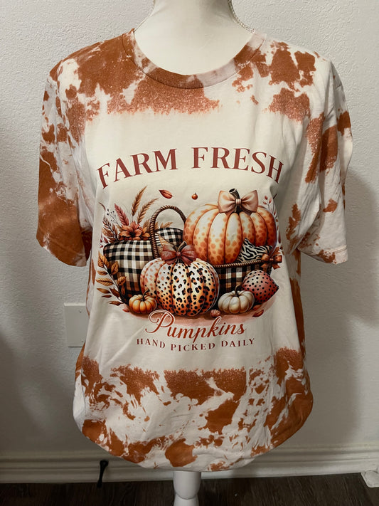 Farm Fresh Pumpkins (Bleached) (Size XL)