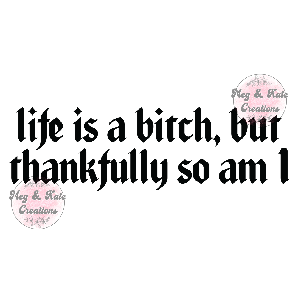 Life is a Bitch DTF TRANSFER