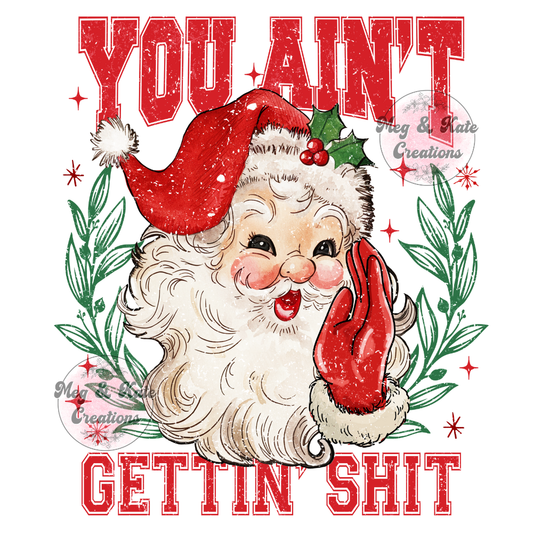 You Ain't Gettin Shit DTF TRANSFER