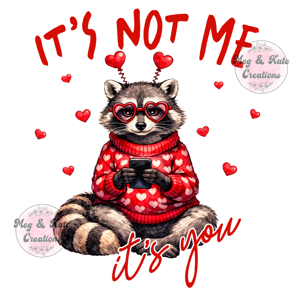 It's Not Me DTF TRANSFER