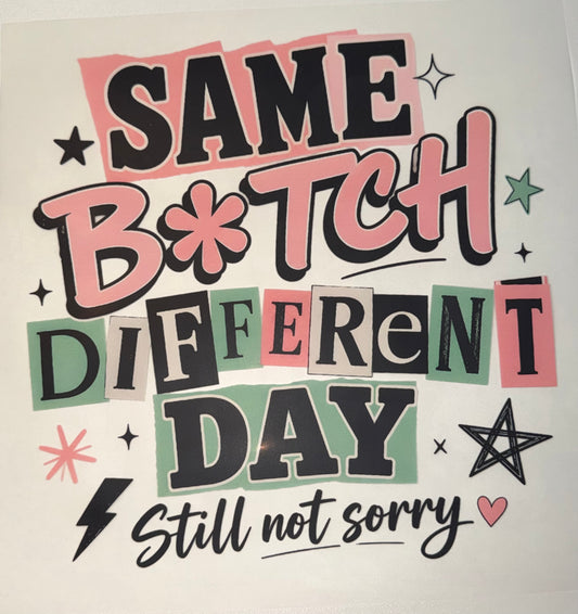 Same B*tch Different Day DTF Transfer