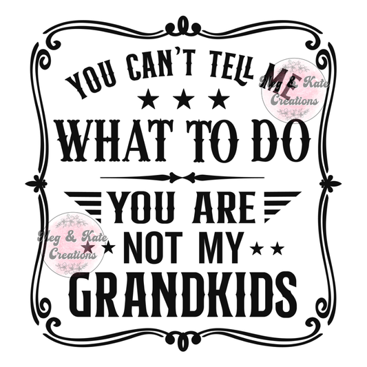 You Can't Tell Me What To Do DTF TRANSFER