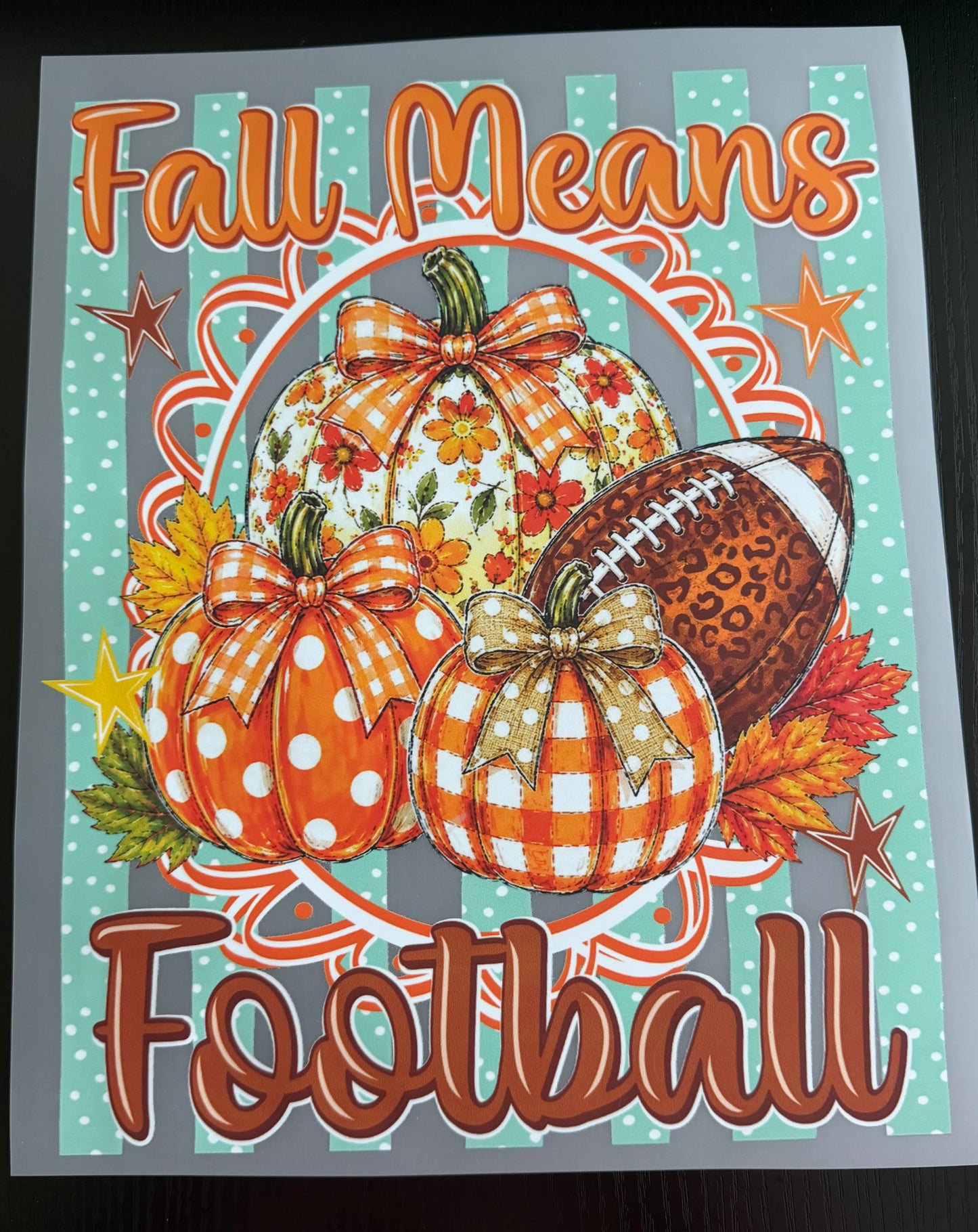 Fall Means Football DTF Transfer
