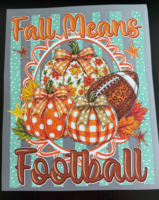 Fall Means Football DTF Transfer