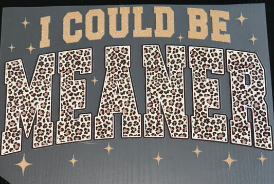 I Could Be Meaner Glitter Screen Print