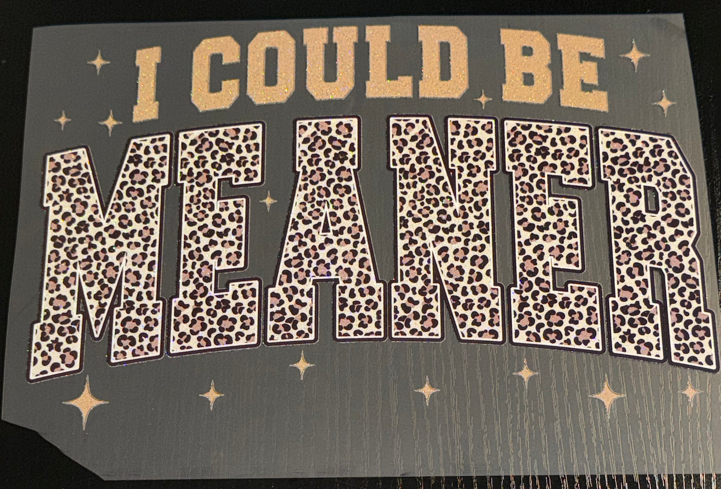 I Could Be Meaner Glitter Screen Print