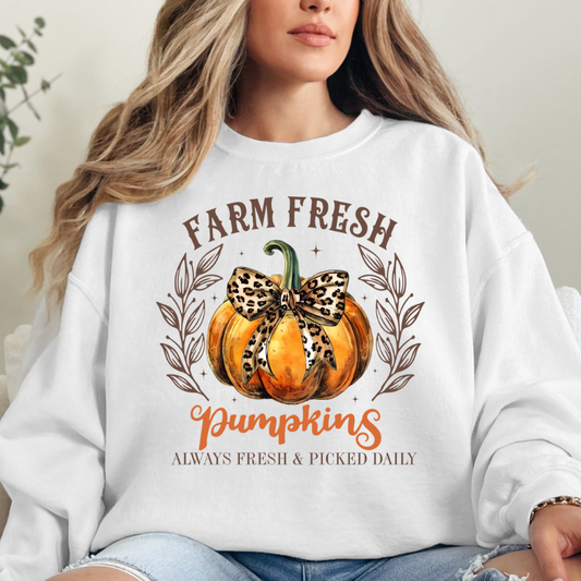 Farm Fresh Pumpkins