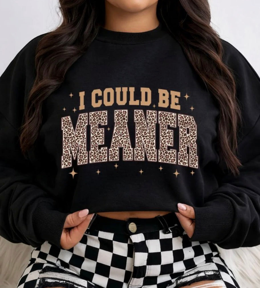 *PREORDER* I Could Be Meaner Glitter Screen Print