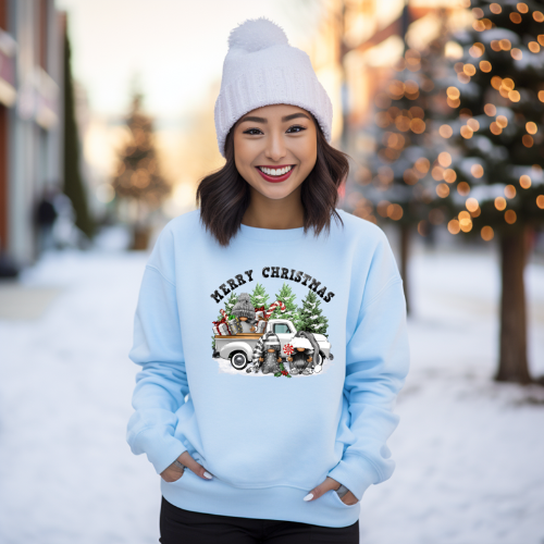 Merry Christmas Gnome Truck
